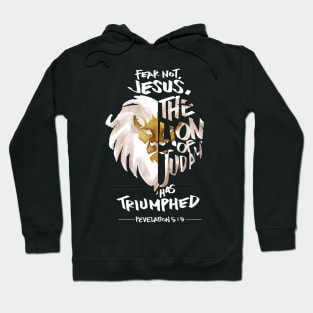 Jesus is the Lion of Judah Christian Hoodie